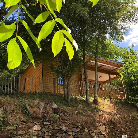 Saint-Constant Camping Moulin De Chaules מראה חיצוני תמונה
